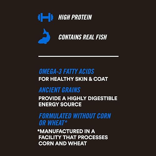 Miniatura 6 de WholeHearted Active Performance - Comida húmeda para perros con receta de pescado blanco y salmón con granos integrales, 12.5 onzas, caja de 12