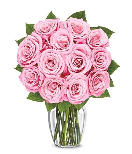 From You Flowers - One Dozen Light Pink Roses with
