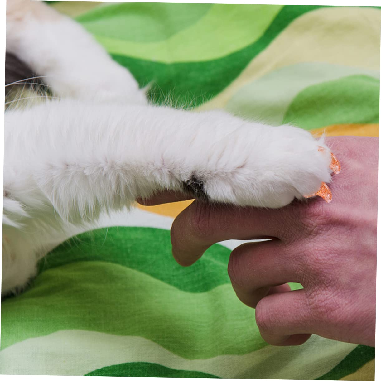BESPORTBLE 300stücke Katzen Krallenabdeckung Für Kratzschutz Weiche Und Flexible Nägelkappen Für Haustiere Sicherer Krallen-Schutz Für Kätzchen Und Katzen