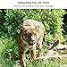 OUDMON Trail Game Camera, 1080P Hunting Cam for Wildlife with Night Vision Motion Activated and No Glow IR LEDs, Waterproof IP67
