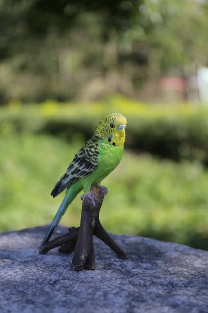 ♡ Budgeby Parrot Jellycat Budgeby Parrot: A Colorful Addition