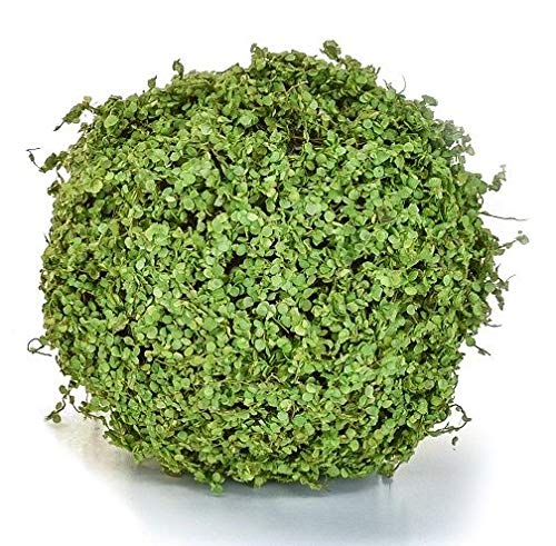 JustArtificial Artificial Topiary Moss/Twig Ball - 25cm, Green