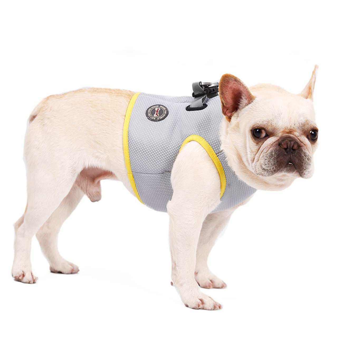 FOMIYES 2pezzi Gilet Rinfrescante Per Pet Cooling Traspirante Per Attività Estive Vestibilità e Facile Indossare Xs Per e Jogging