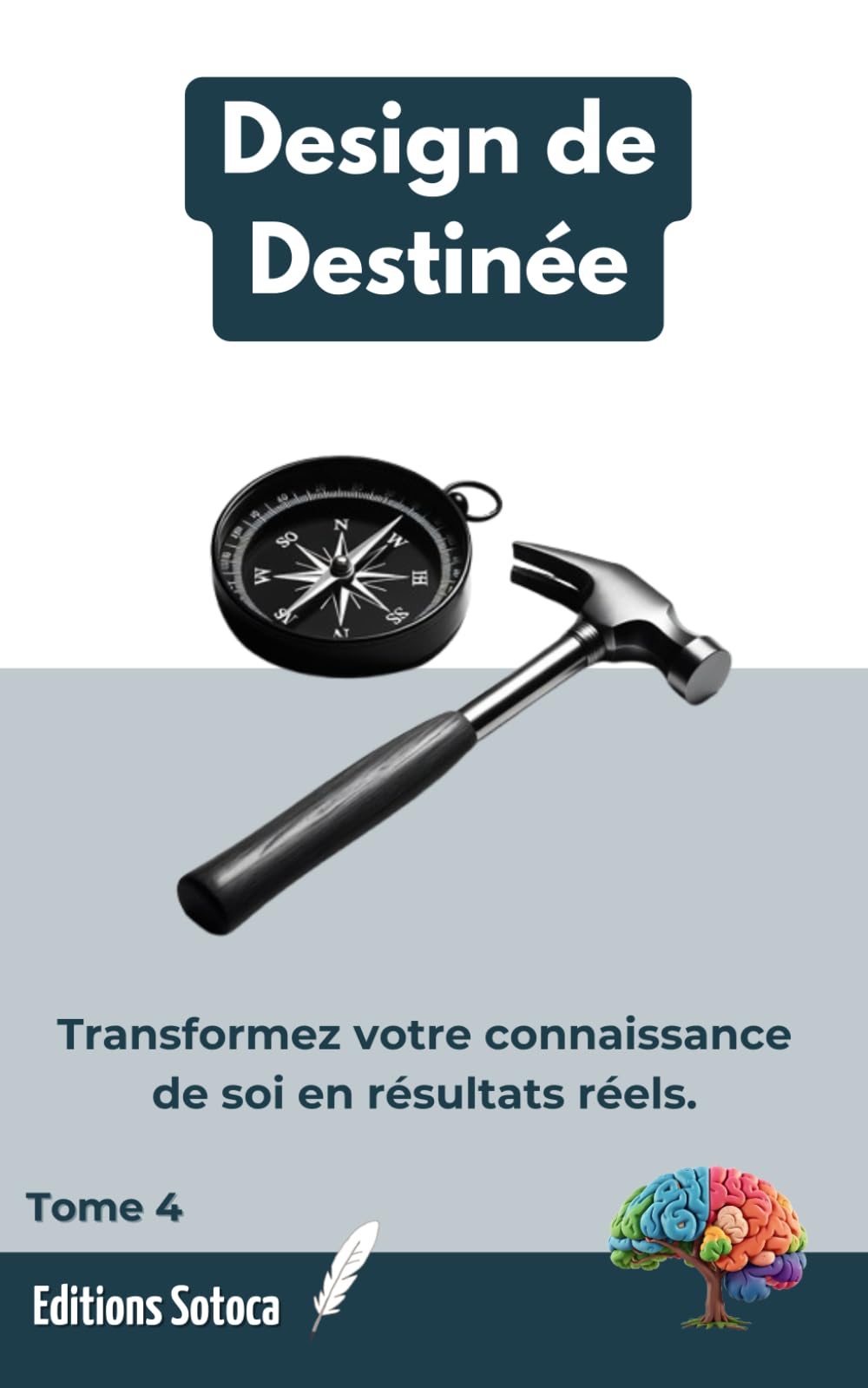 Design de Destinée: L'art de transformer la connaissance de soi en action concrète et en résultats tangibles.