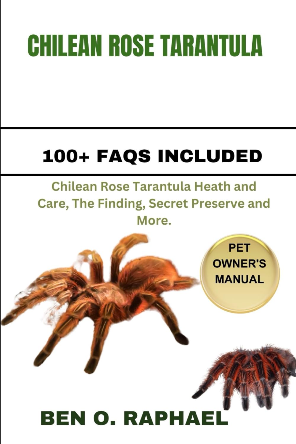 CHILEAN ROSE TARANTULA: Chilean Rose Tarantula Heath and Care, The Finding, Secret Preserve and More.