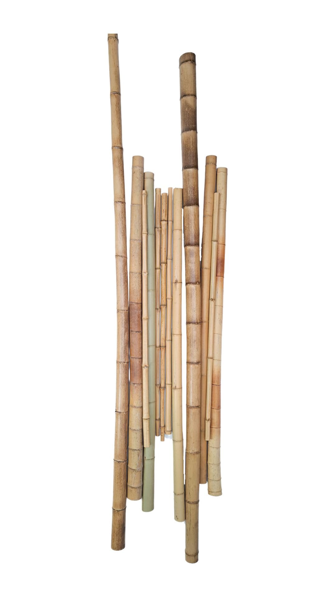 50 Bambusstangen 2-3cm 3m Bambusrohr Bambusrohre : Amazon.de: Garten