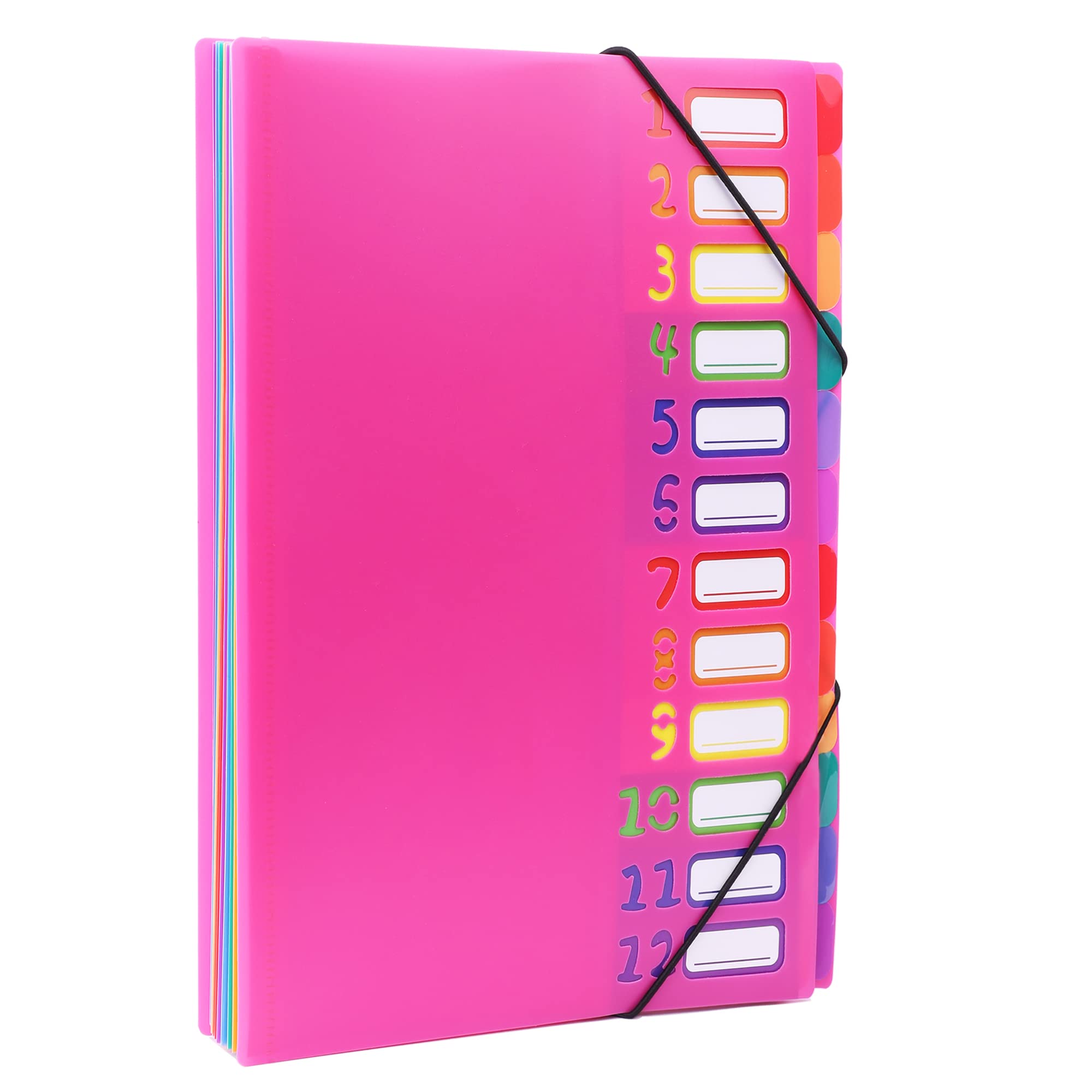 Edufun 24 Pockets Expanding File Organizer, Accordion Folder (rose pink)
