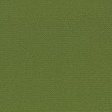 Sunbrella Canvas Palm #5421...