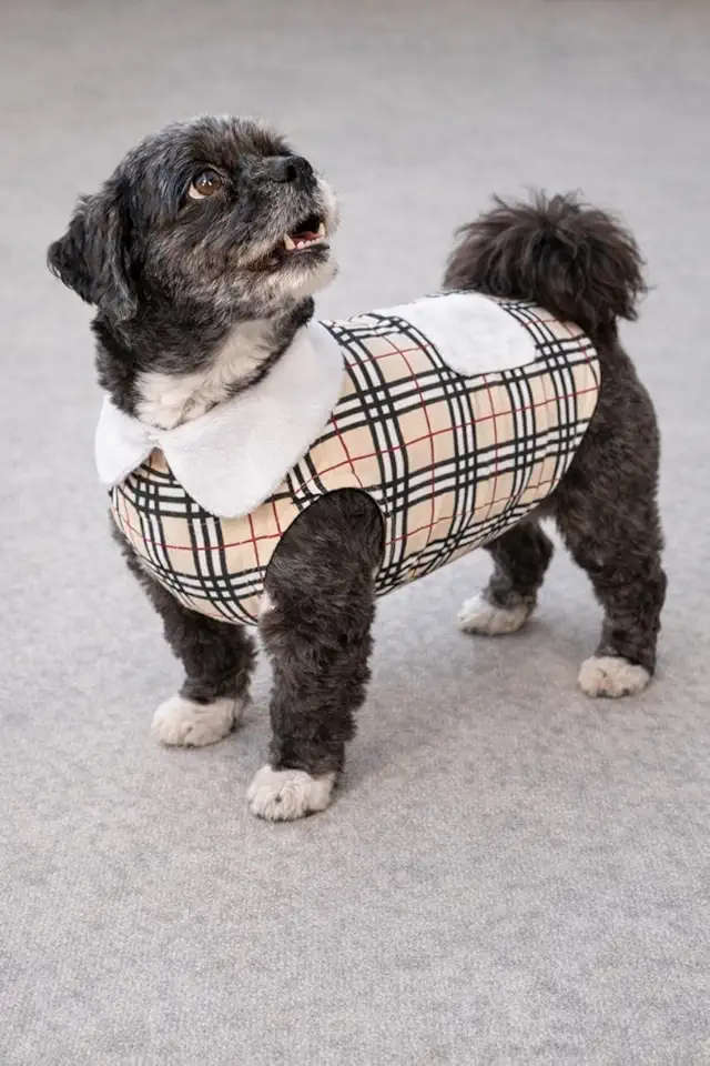 LuckBaby Colete Pet Xadrez para Cachorro com Gola de Pelúcia – Roupa de Inverno para Cães Pequenos e Médios, Confortável e Quentinho, Tecido Macio, Cor Palha, Tamanho M