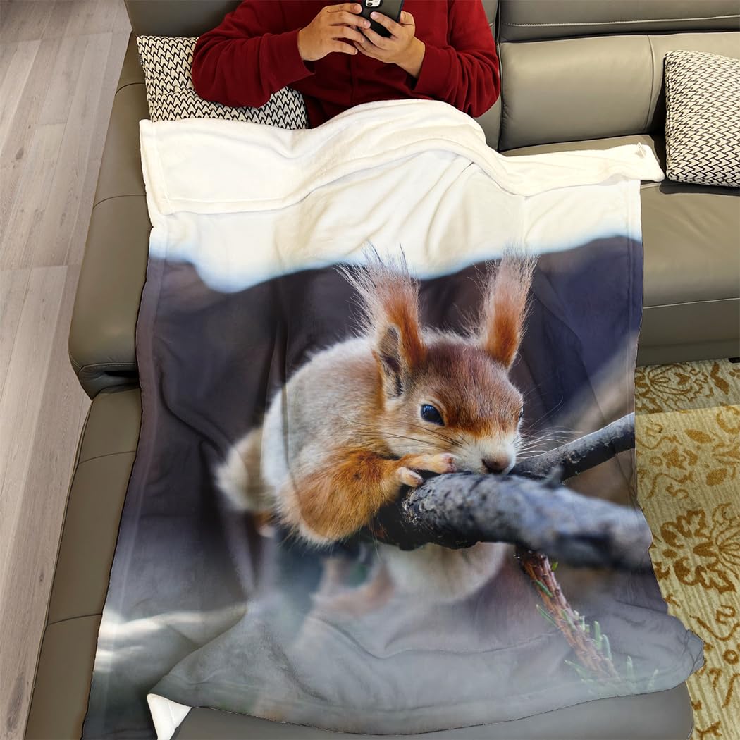 Coperta spessa e calda in pile di flanella, coperta per divano, coperta di alta qualità, super morbida, motivo scoiattolo, 150 x 200 cm
