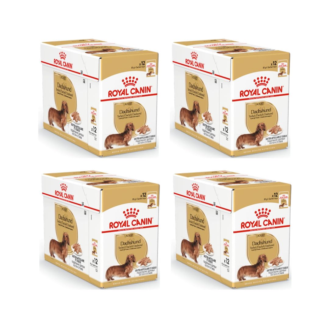 Royal Canin Jamnik mus dla dorosłych | 4 sztuki w opakowaniu | 4 x 12 x 85 g | pełnoporcjowa karma dla psów | dla dorosłych jamników | może pomóc w ochronie kości i stawów