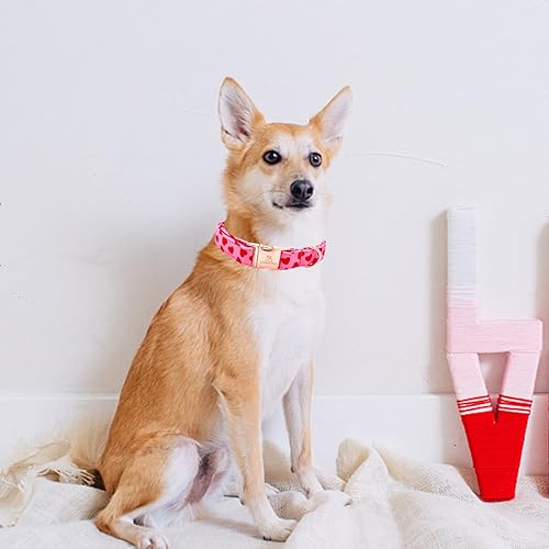 Miniatura 4 de Lionheart glory Collar para el día de San Valentín, collares de perro con corazones rojos para perros medianos y lindos, regalo para mascotas,