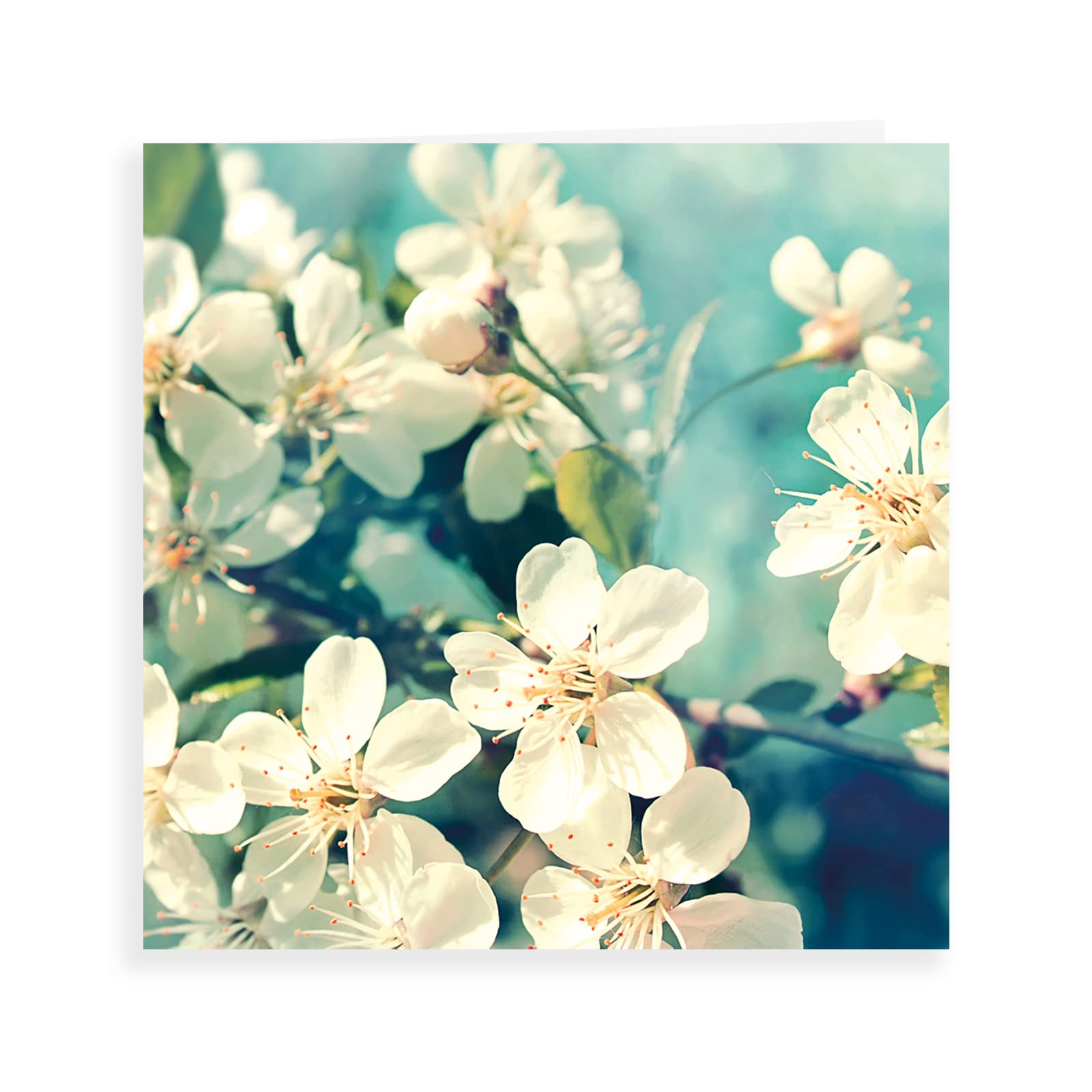 Dispositif De Commande Tactile Cisco CS-Touch10 - Pour Visioconférence HD - Neuf Sous Emballage