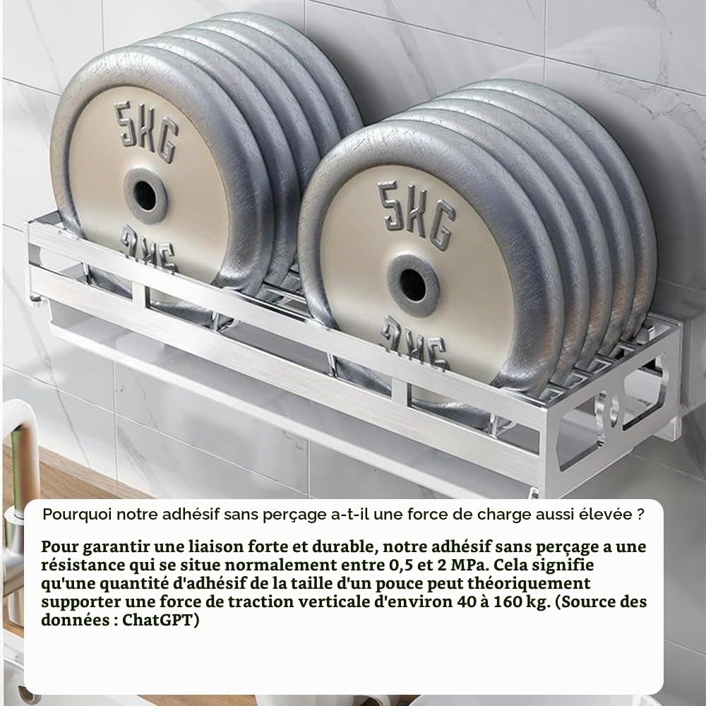 TentHome Stainless Steel Dish Drainer Rack Wall Plate Holder Drying Rack Kitchen Utensils Holder Small Drainer Storage Plate Hanging Stainless Steel with Drip Tray