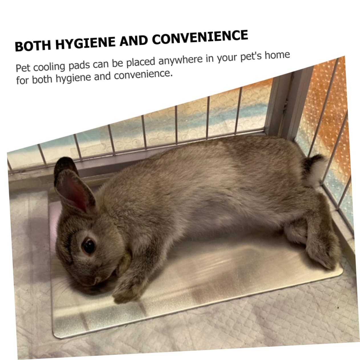 Alasum Kühlmatte für Hamster und Kaninchen, 2 Stück, Aluminium