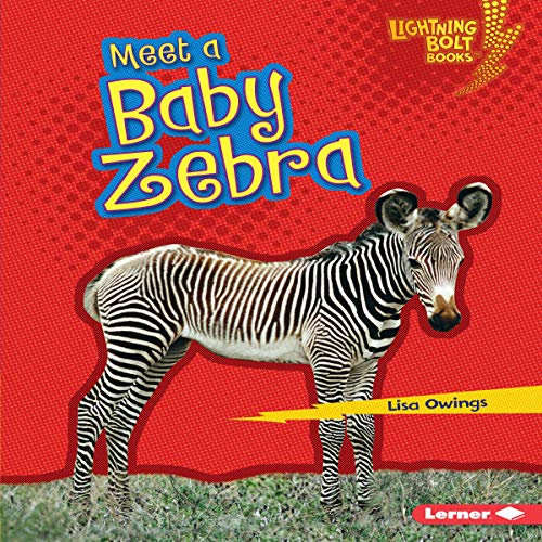 Meet a Baby Zebra by Lisa Owings episode artwork