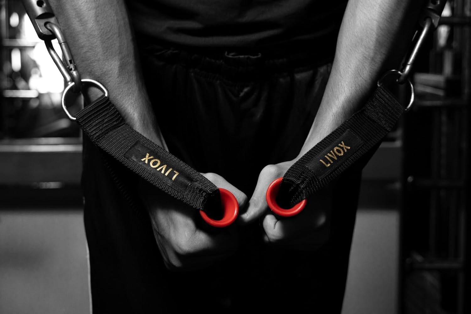 Buy Now Sixteen Heavy Duty Exercise D-Handle Cable Attachments For