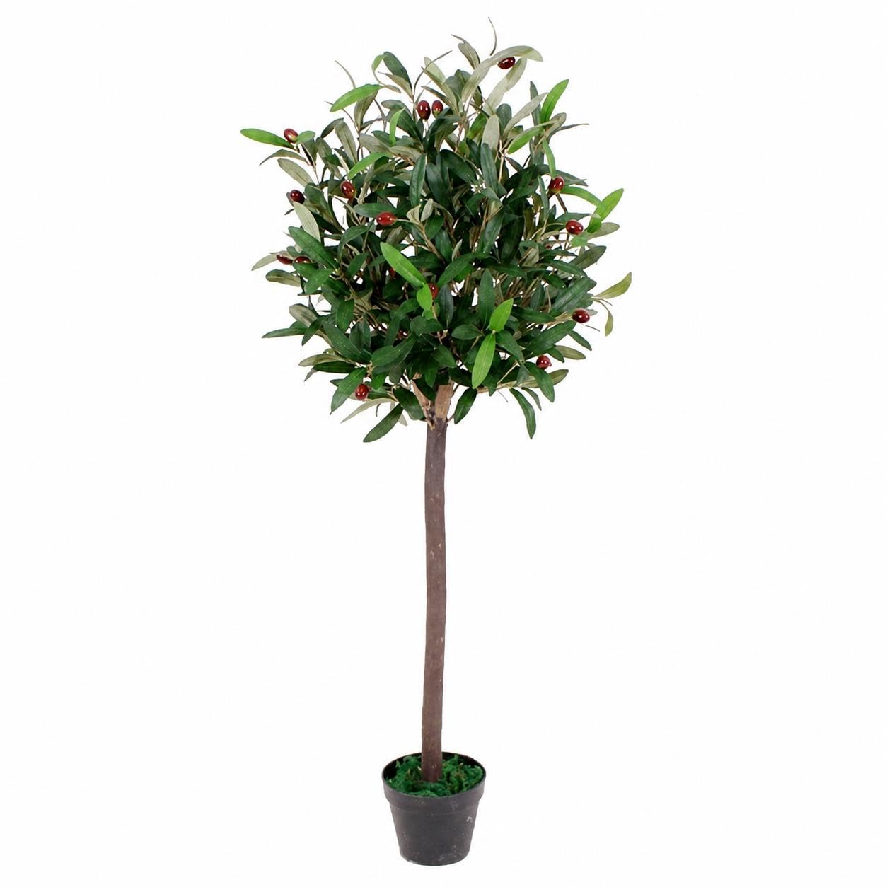 Faux Olive Tree Plant in Pot Liner