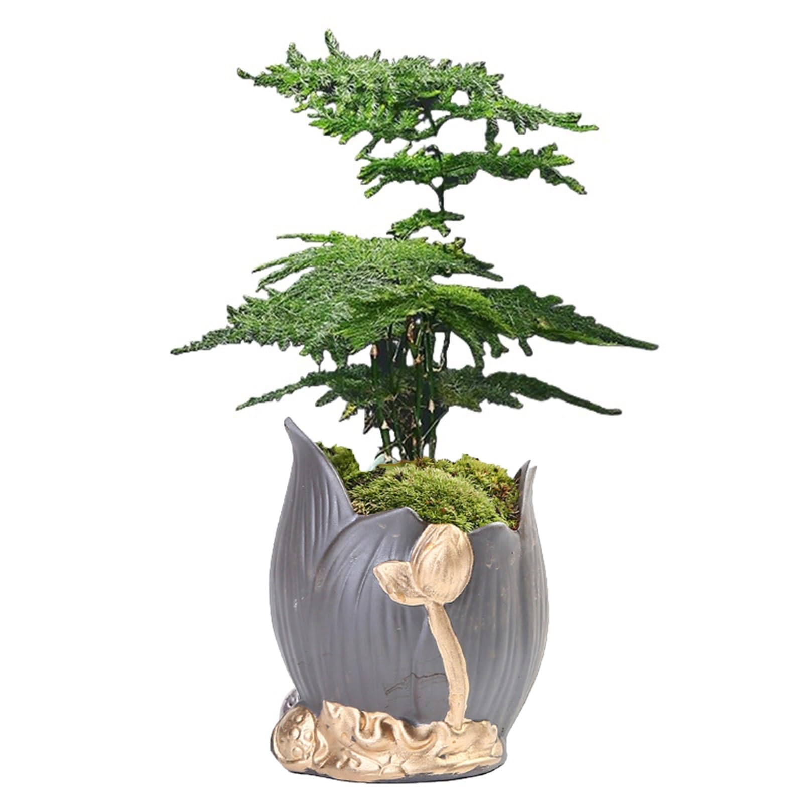 KLerDH Artificial Bonsai, Artificial Succulent Plants in Pots, for Indoor Cactus Bonsai Home