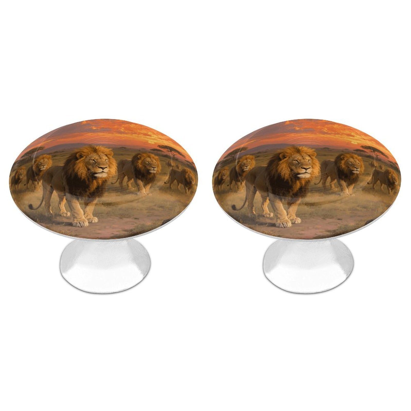 Vstadank Style Lion Drawer Knob Nice Bathroom Cabinet Knob Round Cabinet Pull Stainless Steel Cabinet Handle Circle Drawer Handle Modern Drawer Pull For Wardrobe Cupboard 2 Pcs