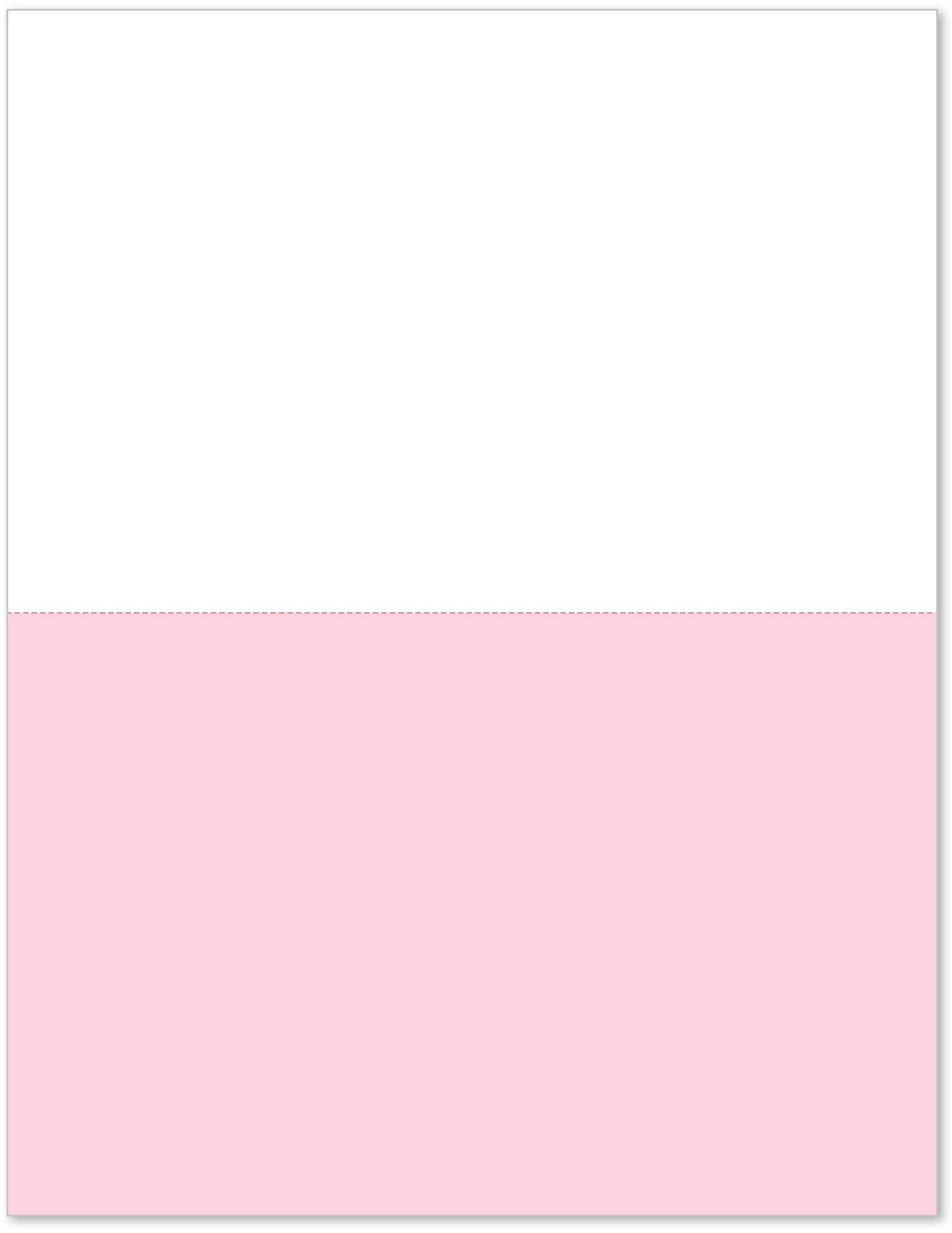 Next Day Labels - Pack of 500 Sheets 8-1/2 x 11" 2 Part Perforated Paper, Great for Invoices, Receipt, Statement etc. (White/Pink)