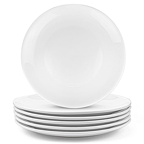 Foraineam 6 Pieces Porcelain Dinner Plates Approximate 10 Inch Round