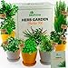 BonPrime Kit Erbe Aromatiche - Set Giardinaggio con 8 Semi Pronti da Piantare - Attrezzi Giardino per Principianti per Coltivare Verdure Indoor o Outdoor-Inclusi 8 Vasi Eco, Dischi di Torba, Marcatori