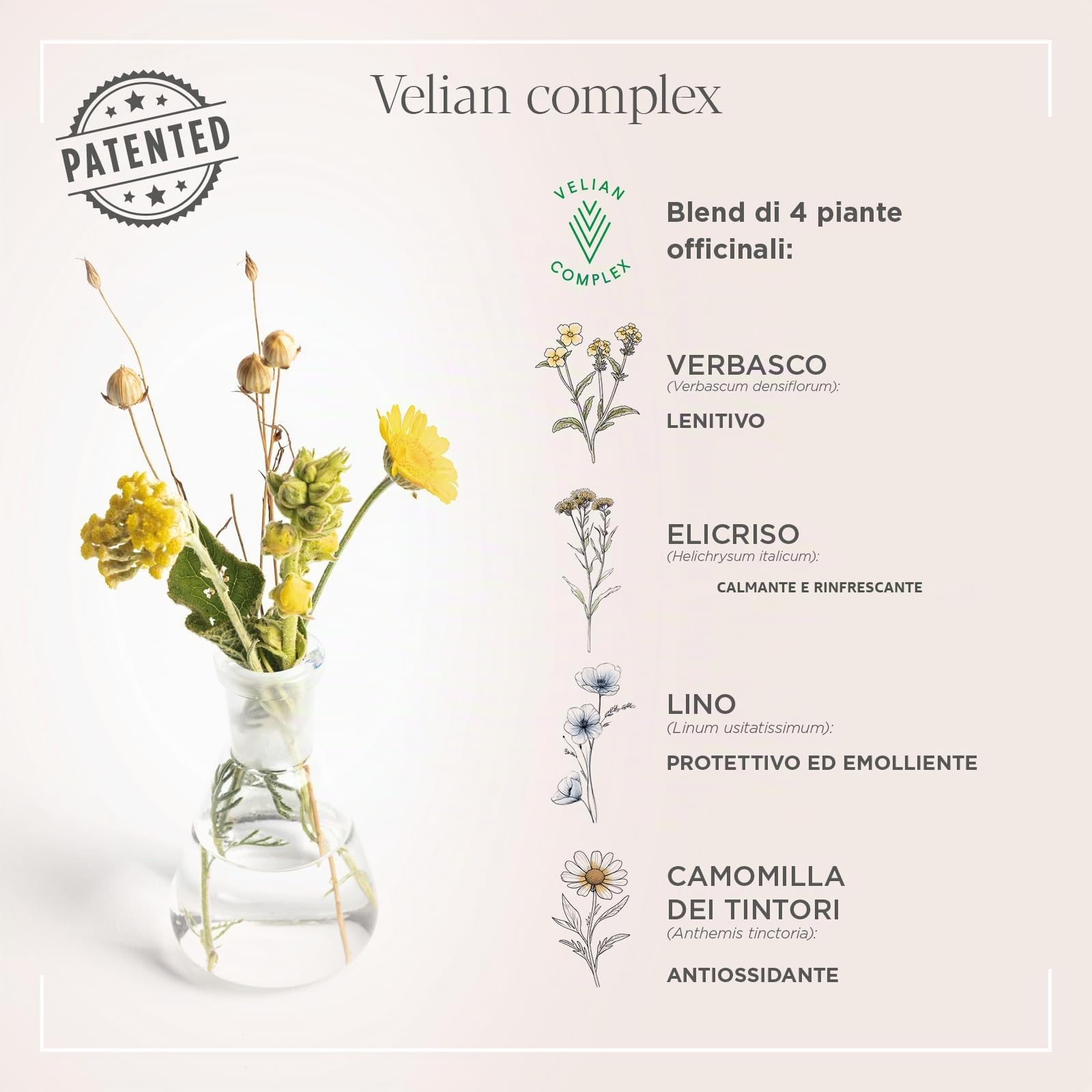 Actyva - Nutrizione Cond, Balsamo Trattamento Nutriente per Lunghezze e Capelli Secchi, con Avena e Olio di Oliva, Effetto Districante - 1000 ml