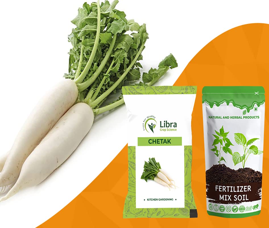 Muli Seeds for Planting | Radish | Farming | Home | Garden | Kitchen | Vegetable | Hybrid | Terrace | Balcony | Eating | Mula | Mulia | Mooli | Mullangi | White Mooli - 20 Gram : 2358 Seed (B0B2RGKQNT) Amazon Price History, Amazon Price Tracker