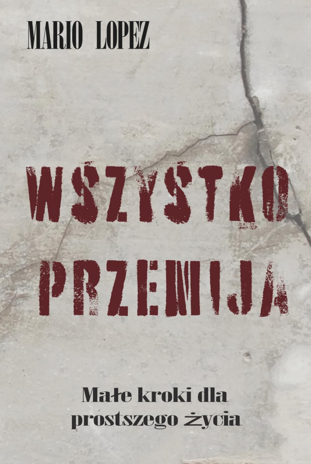Wszystko jest tymczasowe.: Małe impulsy na lżejsze życie
