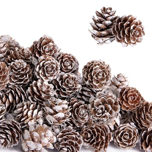 Deloky 150 Pcs Christmas Natural Mini Pine Cones- 1 Small Christmas Snow Pinecones Ornaments- Thanksgiving Mini Snow Pinecones for DIY Crafts Vase Fillers Fall Winter Home Christmas Tree Decor