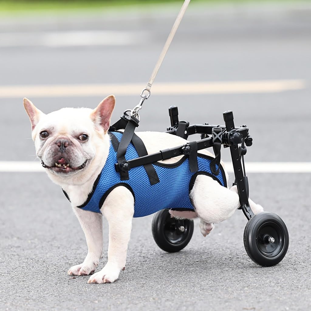 Kleiner Hunde-Hinterbein-Hunderollstuhl, Haustier-/Hunderollstuhl, hilft kleinen Haustieren mit gelähmten Beinen, Sich mit voller Unterstützung zu erholen (Color : Blue, Size : XS)