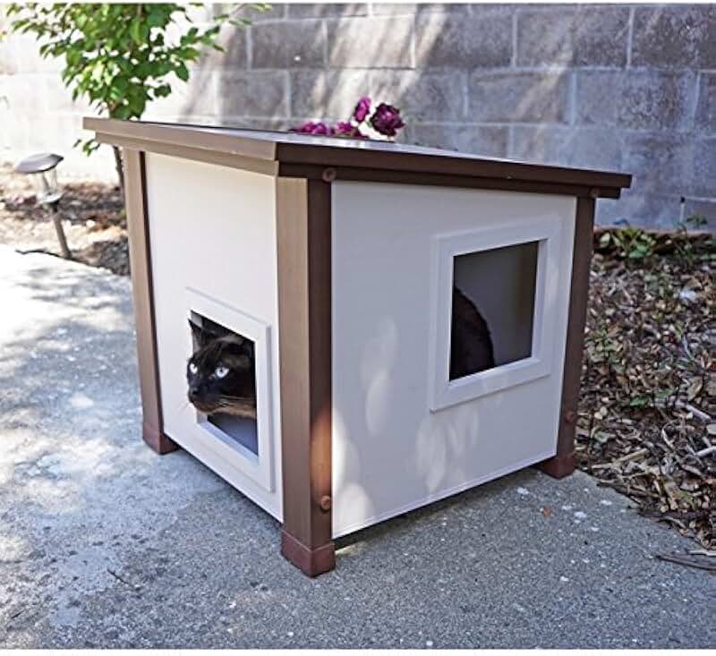 heated cat house for multiple cats