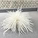 Eforcase Ostrich Feather Brooch Fashion Brooch Pins Corsage Hair Clip Headwear Hairpin Hairband for Derby Hat Cocktail Party
