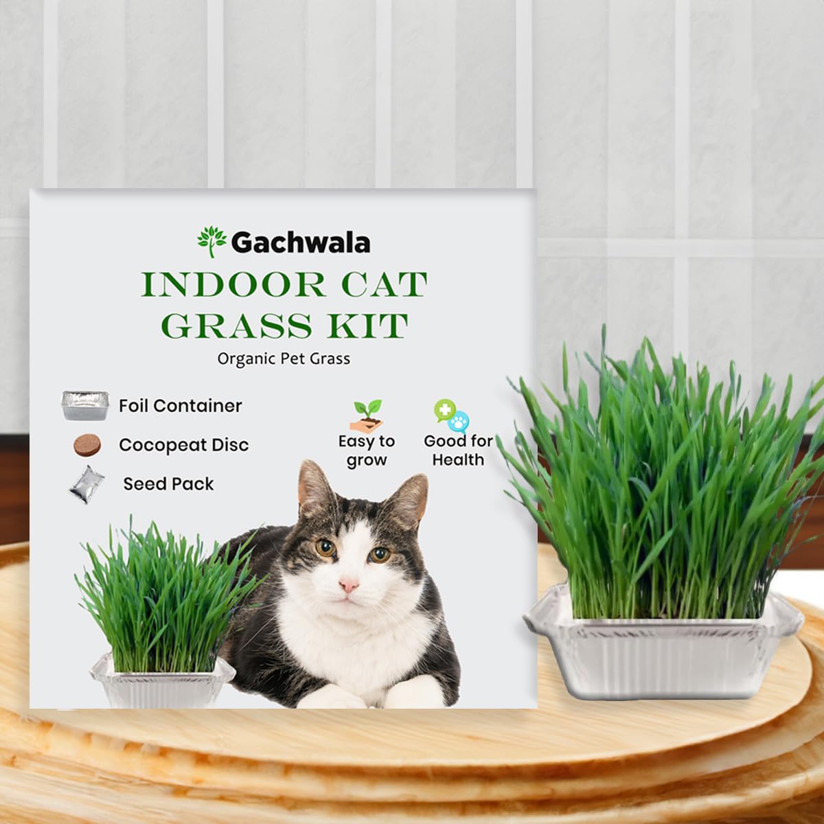 Indoor Cat Grass Kit [Foil Container] - Organic & Chemical-Free Pet Grass - Single Kit with 2Foil Container, Cocopeat Disc, and Wheat Grass Seeds - Easy to Grow, Healthy for Digestion