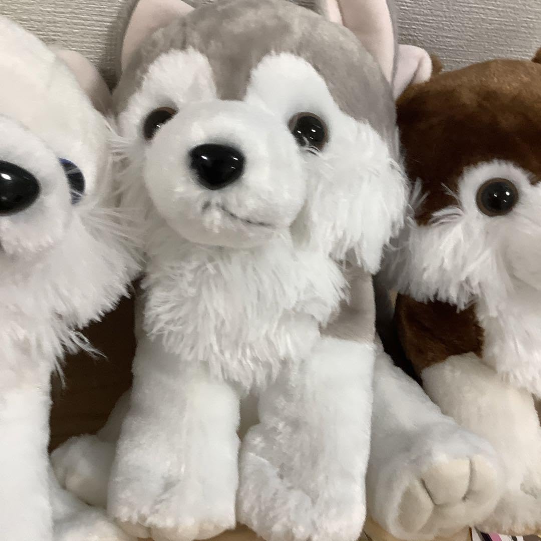 Amazon.co.jp: ぬいぐるみ もふっとオオカミの赤ちゃん もふっと