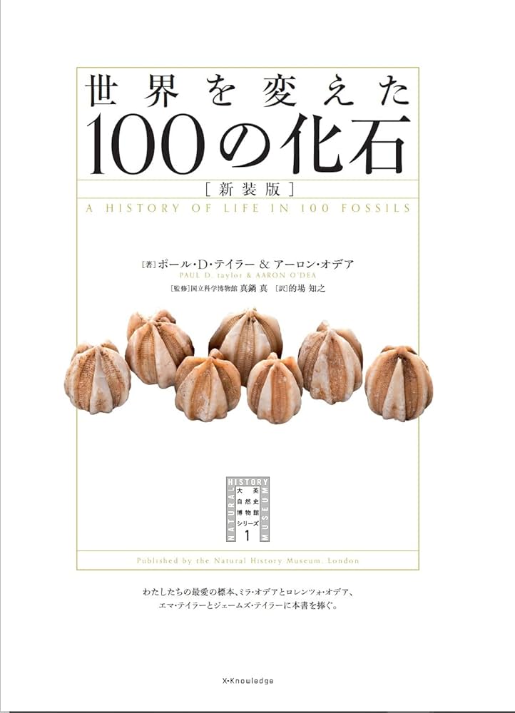 化石 古生物の世界 大型本 化石 古生物の世界 サカナからヒトへ | 王源, 伊藤経子 |本