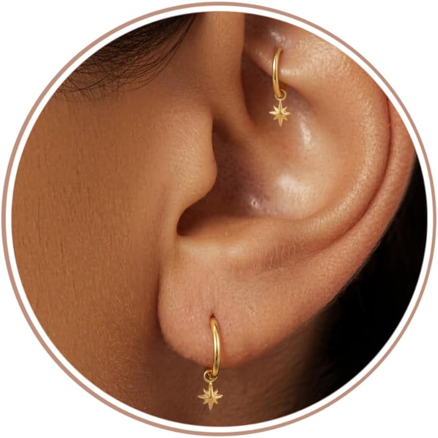 ORAZIO 16G Titanium Dangle Huggie Hoop Earrings for Women Hypoallergenic Hinged Clicker Segment Rings for Rook Cartilage Helix Tragus Conch Daith Nose Piercing Jewelry Hoop Earrings for Women 6/8MM