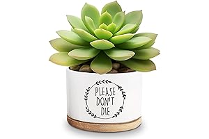 Please Don't Die Ceramic Succulent Planter Pots
