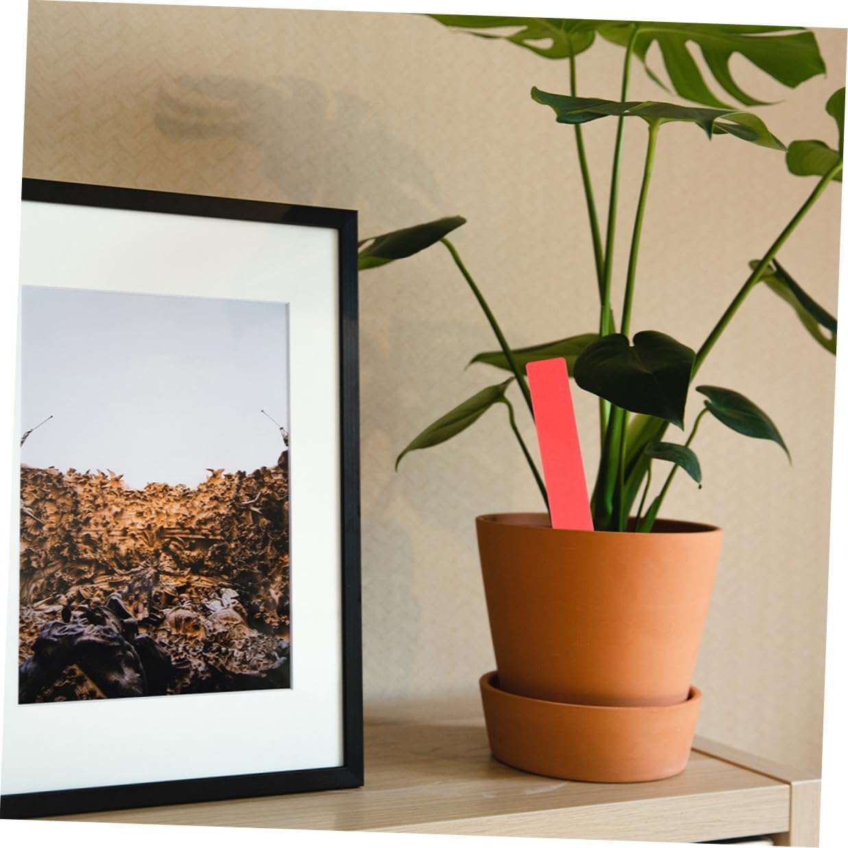 BESPORTBLE 600pcs Garden Plant Labels Stakes Plastic Plant Markers for Outdoor with Waterproof Small Tags in Red Yellow Blue Pink White Green