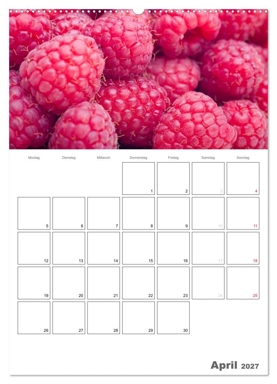 CALVENDO - Frische Küche - Der hilfreiche Monatsplaner/Planer (hochwertiger Premium Wandkalender 2027 DIN A2 hoch), Kunstdruck in Hochglanz: Kunstvoll zubereitete Speisen und frische Zutaten bilden
