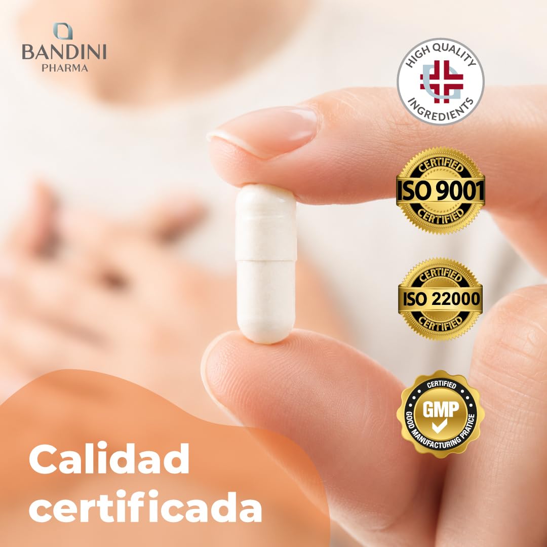 Bandini® Cordyceps Sinensis | Dosis Alta: 6.500 mg - 270 Cápsulas Veganas | Extracto Natural CS-4 10:1 con 40% Polisacáridos Bioactivos | Hongo oruga Energizante y Vigorizante | Sin Aditivos, Vegano