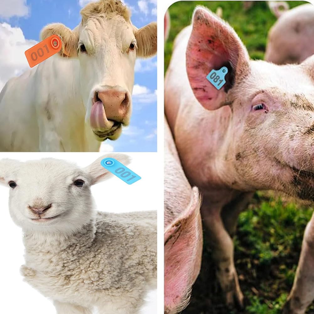 400 pezzi di marche auricolari per bestiame in PE per capre, bovini, ovini, suini, cani, cervi, allevamenti con numero 001-100/101-200/201-300/301-400 (blu, giallo, rosso, verde, arancione, rosa)