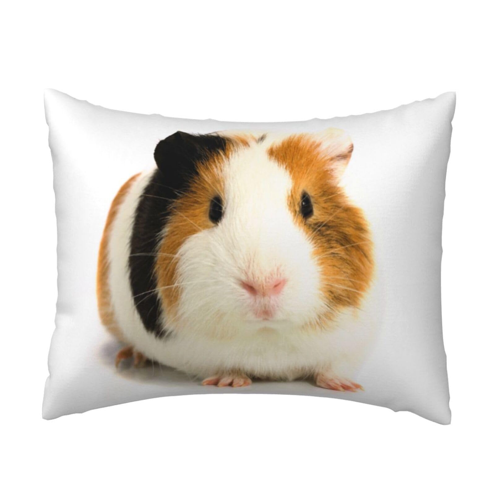 WSHFFILO Cute Guinea Pig printed Pillow Case 20x26in Decorative pillowcase Throw Pillow Cover