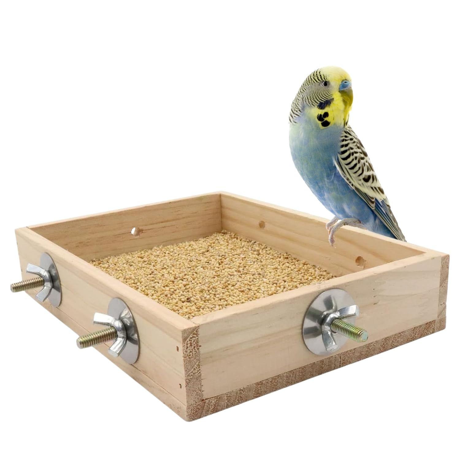 Sage Square Bird Cage Wooden Feeding Bowl – Natural, Hand Made, Easy Install, Perfect for Birds, Parrots, Small Pets, Ideal for Food, Treats, Sturdy, Stylish, Safe, Perfect Cage Accessory (8 x 6inch)-image-16