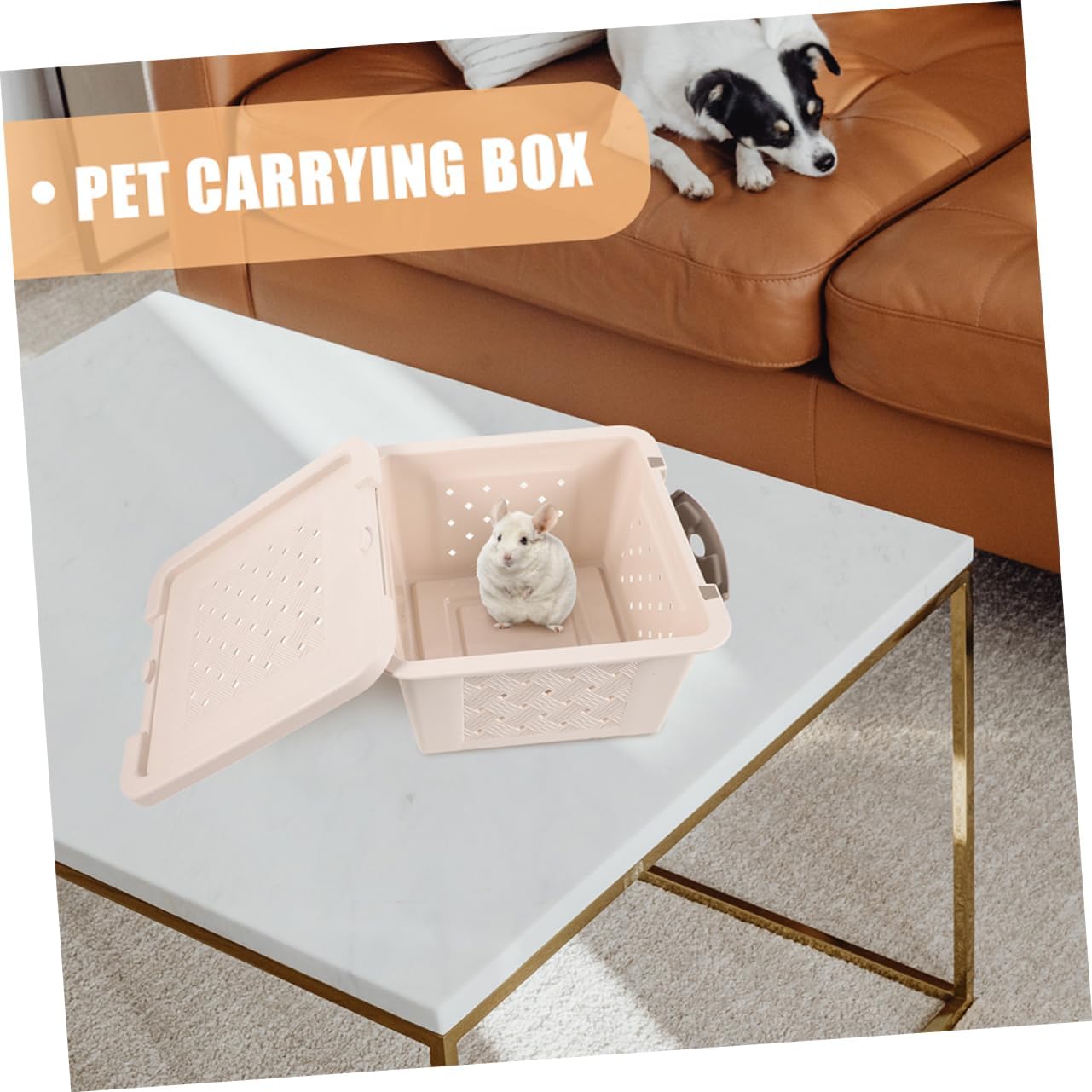 SUPVOX 2pcs Hamster Carrier Box Portable Small Animal Carrier Breathable Hamster Cage Pet Travel Storage Outdoor Pet Cage