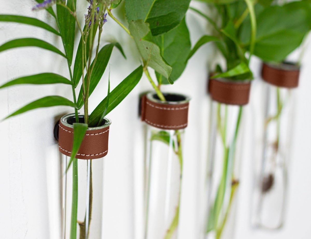 Amazon.com - TWILG Magnetic Wall Hanging Plant Propagation Station