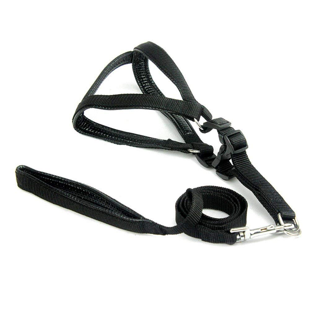 Rvpaws Nylon Padded Adjustable Dog Harness Leash Set with Heavy Hook (Black, 1.25 INCH) (B08T8J4L79) Amazon Price History, Amazon Price Tracker
