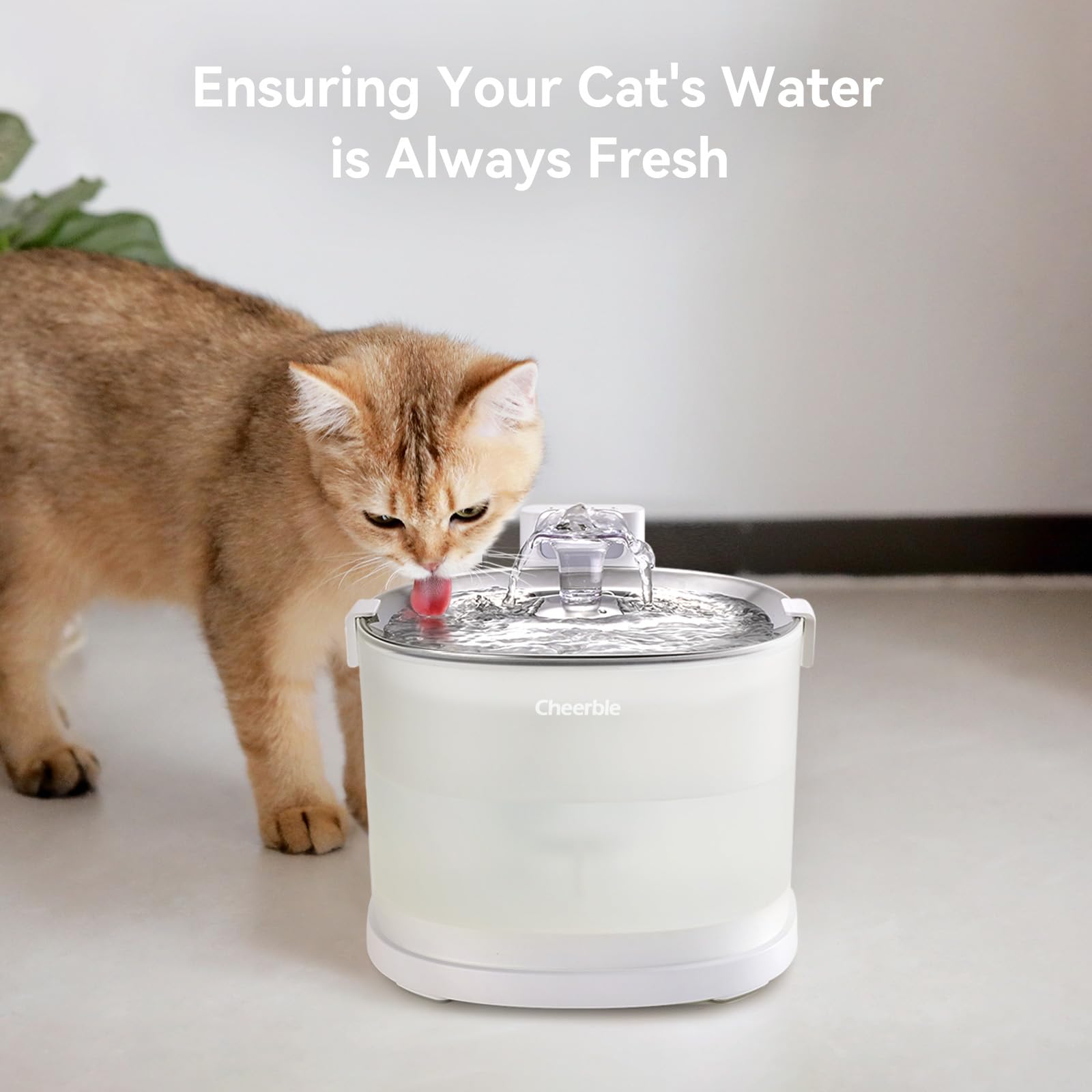 Amazon.com : Pet Fountain E1 Lite (Care Kit, E1 Lite) : Pet