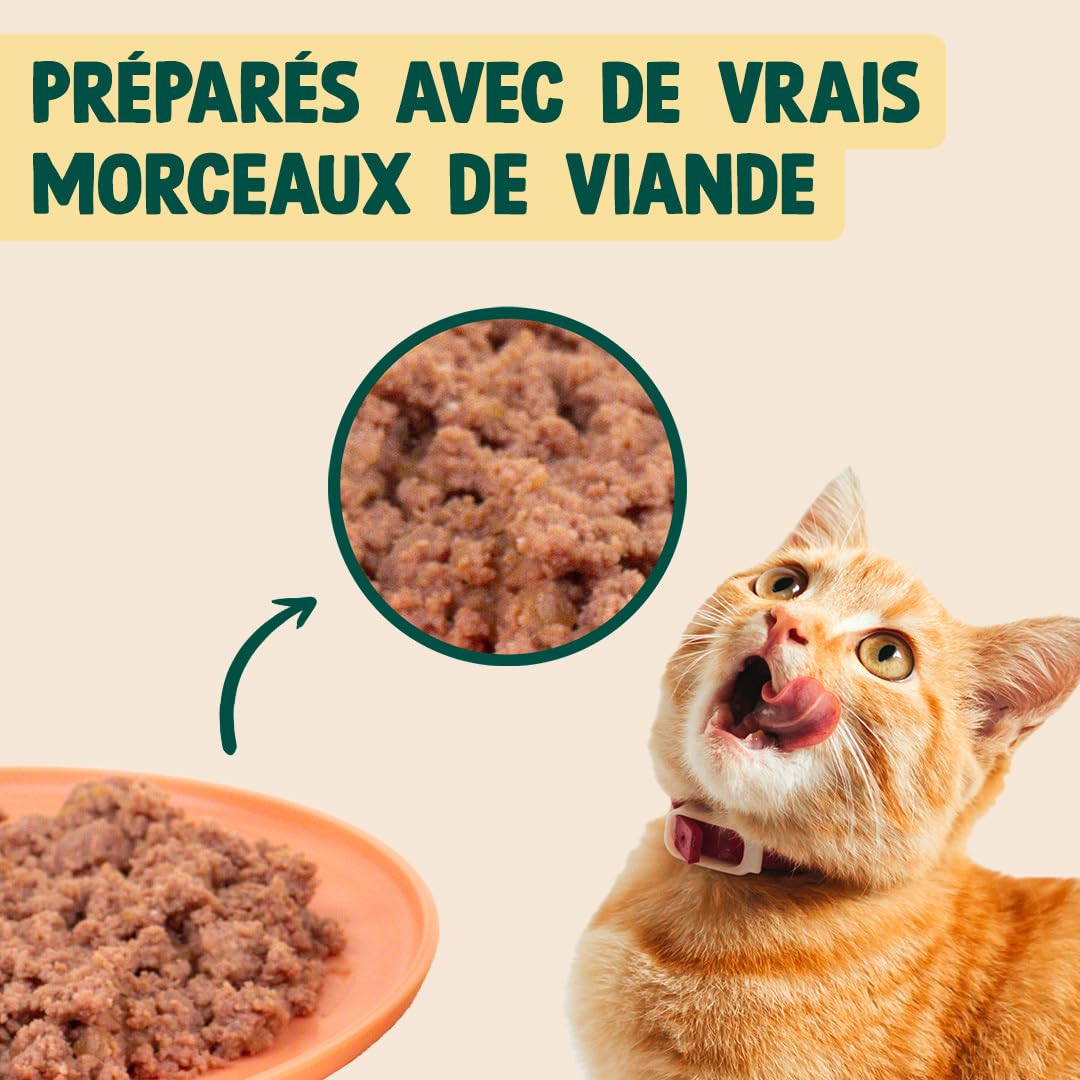 FRANKLIN – Pâtées pour Chat – sans Céréales – pour Chaton, Chat Adulte & Sénior – 66% de Viande – Saveur Dinde, Camomille – Nourriture Humide – Maximise l'hydratation – Boite 12x100g